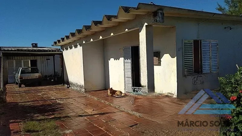 Cidreira