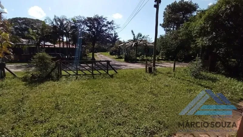 Cidreira