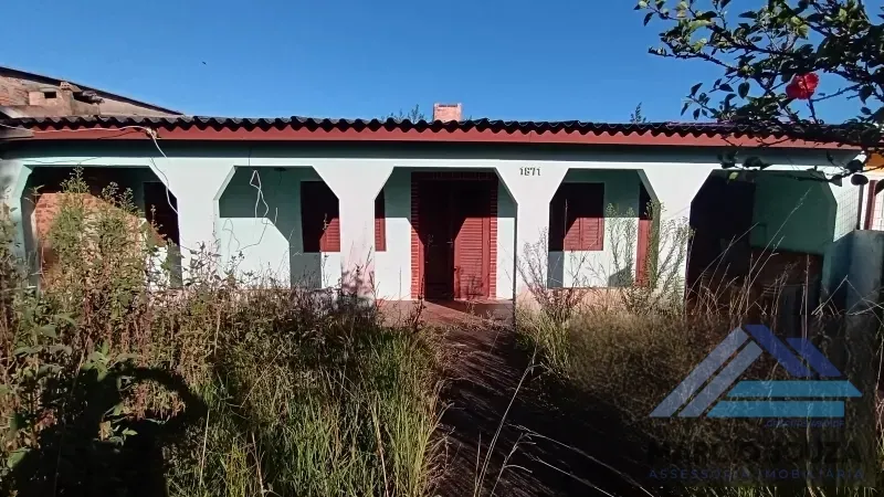 Cidreira