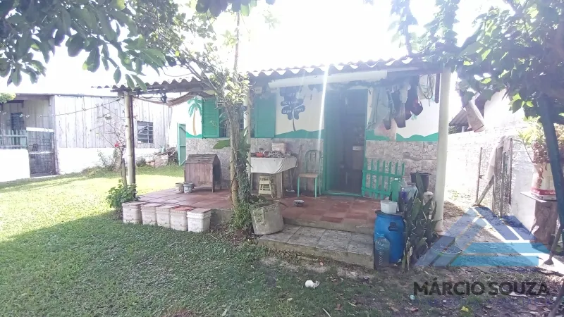 Cidreira