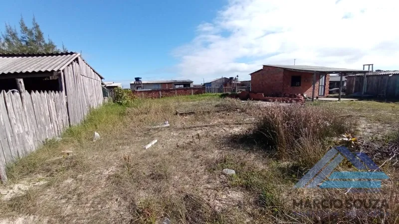 Cidreira