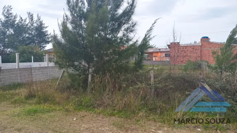 Cidreira
