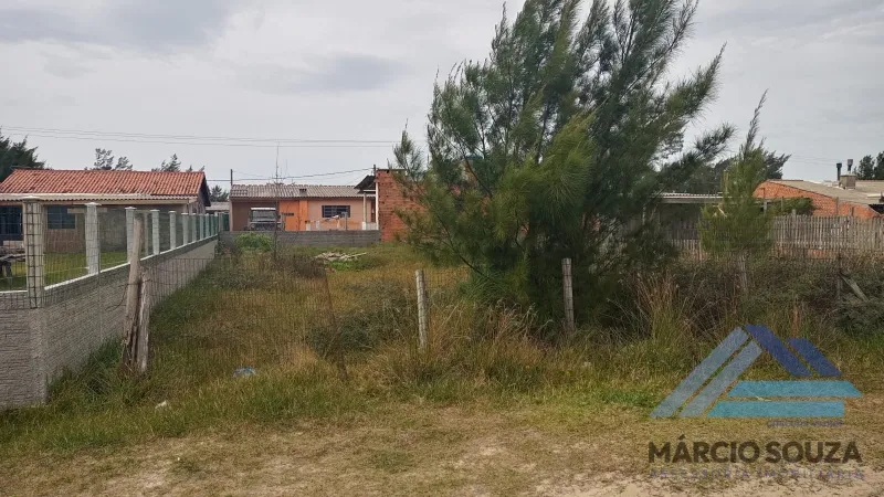 Cidreira